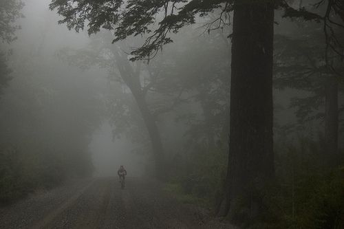 Bike in Fog