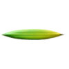 RTM FREELAND STANDARD kanu YELLOW/GREEN 2ND CH - Slika 3