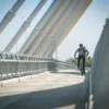 MERIDA CROSSWAY 20 III2 BLACK trekking bicikl (MY25) - Slika 7