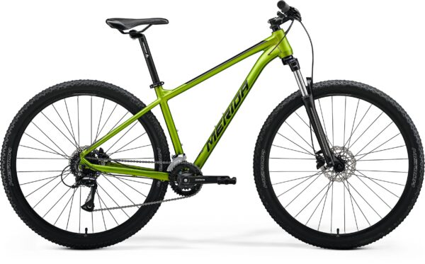 MERIDA BIG.NINE 20 IV2 MATT FALL GREEN brdski bicikl (MY25)